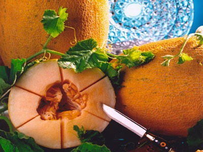 Cantaloupe (golden Phoenix)