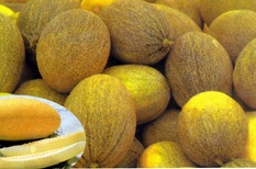Flavored Cantaloupe No.2