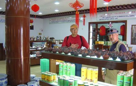 Tea Plantation in Yaoshan Mountain Scenic Area
