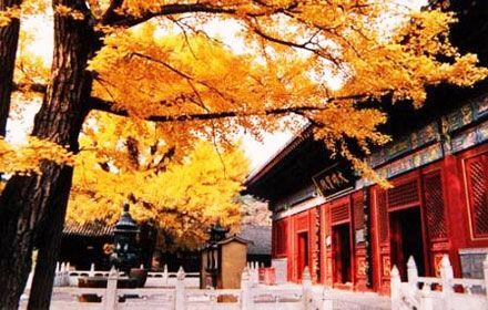Hongluo Temple
