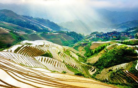 Longji Terraced Fields