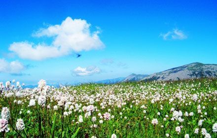 Adventure travels in Qinling Mountains
