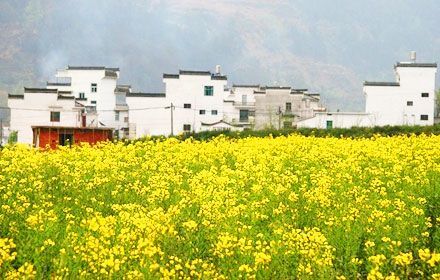 Wuyuan County