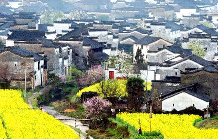 Wuyuan Travel