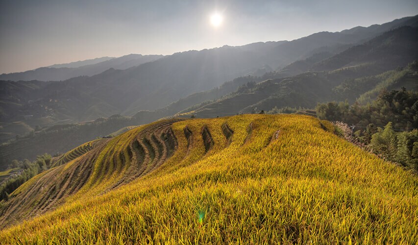 Longji in Autumn