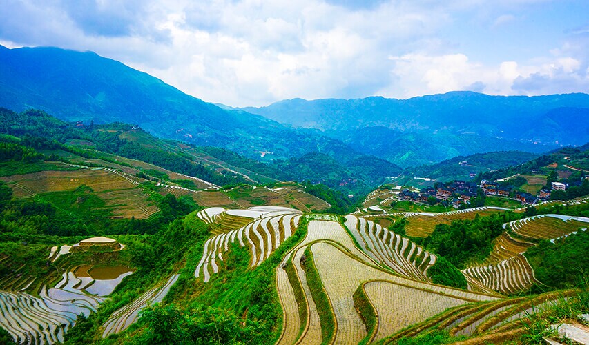 Longji in Spring