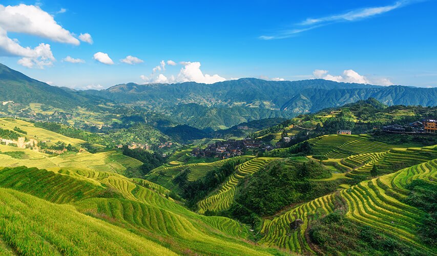 Longji in Summer
