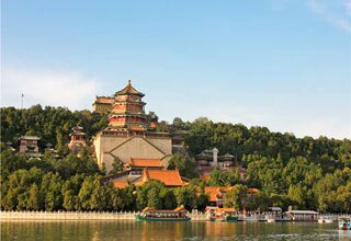 Longevity Hill
