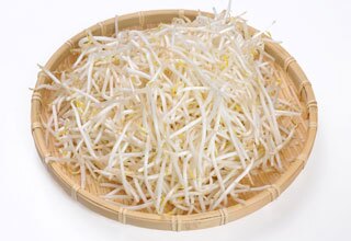 Bean Sprouts