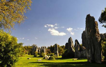 Yunnan Stone Forest