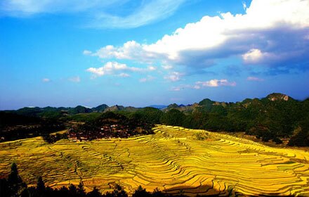 Gaoyao Terrace Fields
