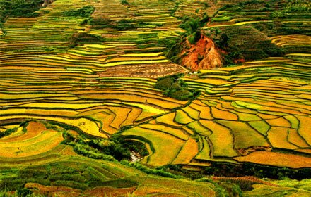 Jiangling Terraced Fields in Jiangxi Province