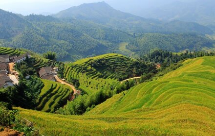 Shangbao Terraced Fields in Jiangxi Province