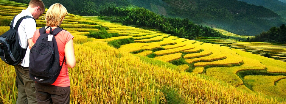 China Top Terraced Fields