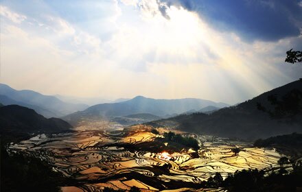 Yuanyang Terraced Rice Fields