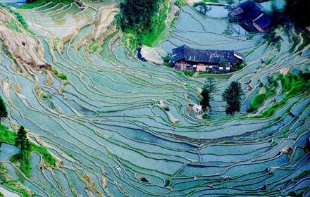 Ziquejie Terrace Fields in Loudi