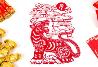 Tiger, Wild Animal