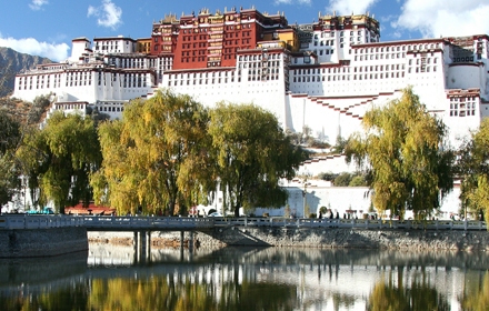 lhasa