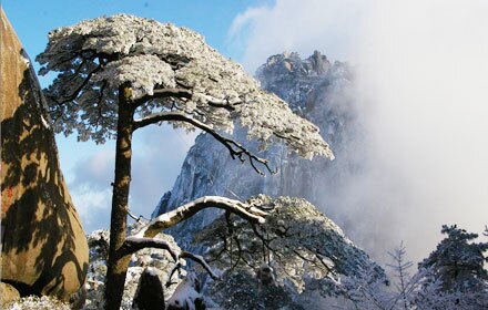 Unforgettable Mountain Snowscapes