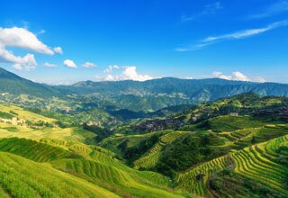 Longji Terraced Fields