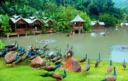 Xishuangbanna Primitive Forest Park