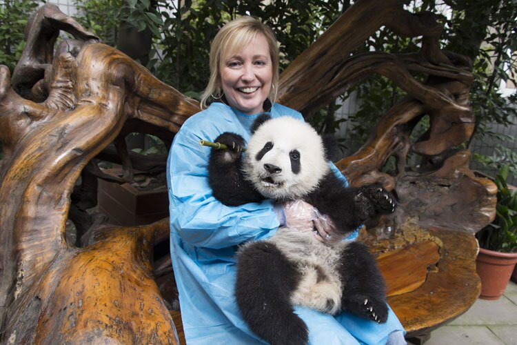 Holding a panda