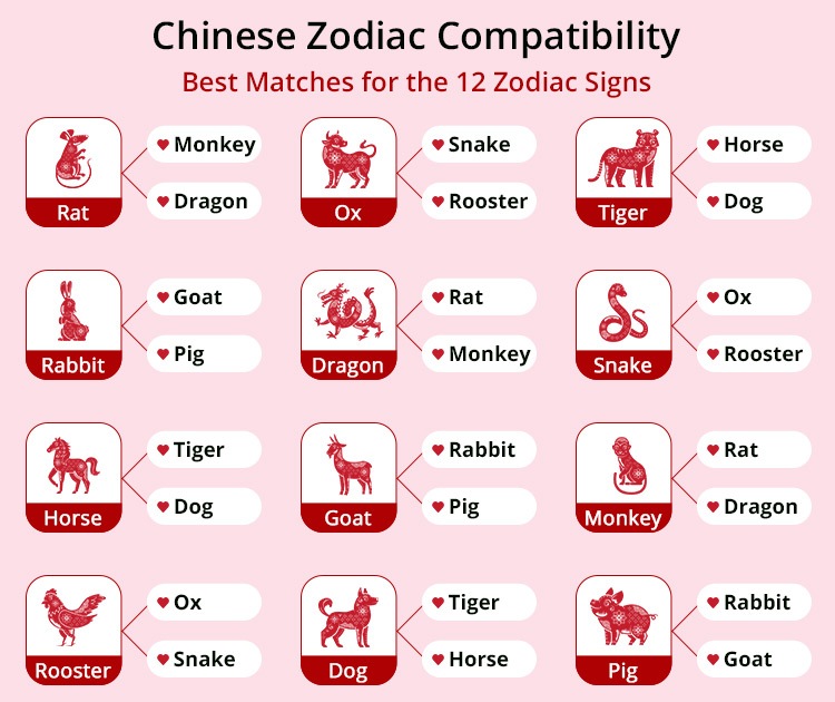 Zodiac Signs Compatibility Chart 2023