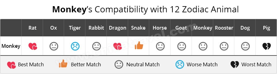 monkey-compatibility-best-matches-for-chinese-zodiac-monkey