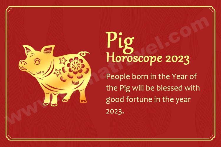 Pig Horoscope 2023