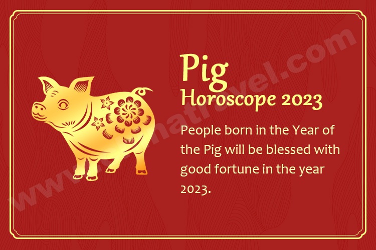 Year Of The Pig Chinese Zodiac, Personality, Horoscope, 46 OFF