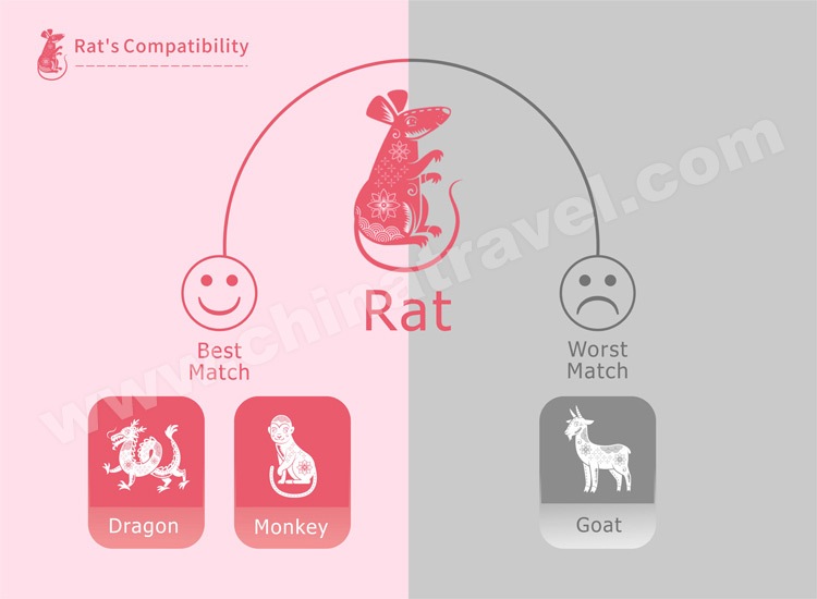Year of the Rat Personality, Compatibility, and Horoscope 2024