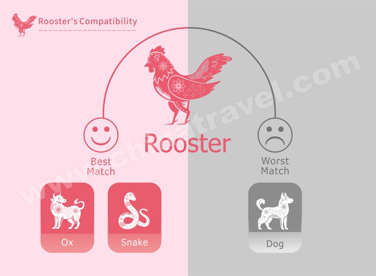 Water Rooster Wood Pig Compatibility