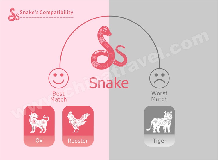 Year of the Snake, Personality, Predictions for 2024