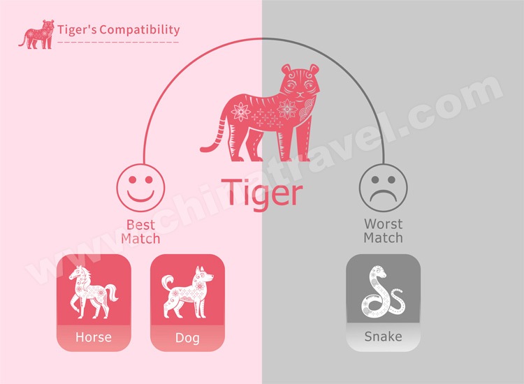 Year the Tiger - Predictions 2024, Tiger's Personality