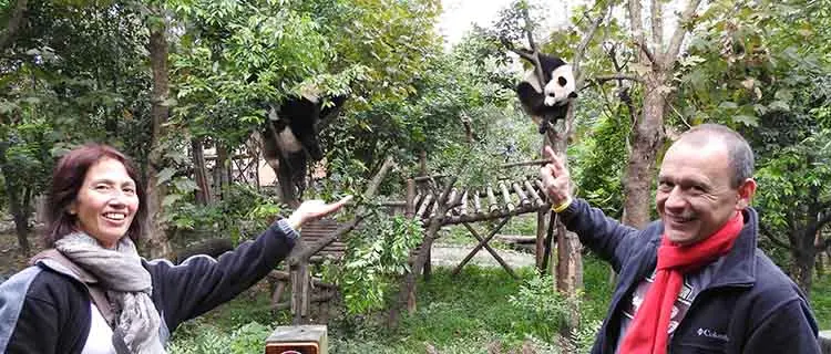 chengdu panda base