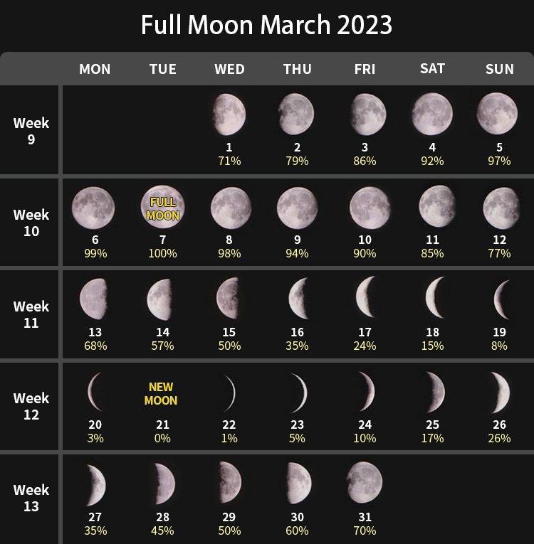 Moon Calendar 2023: Moon Phase, Dates, Times, Star Signs