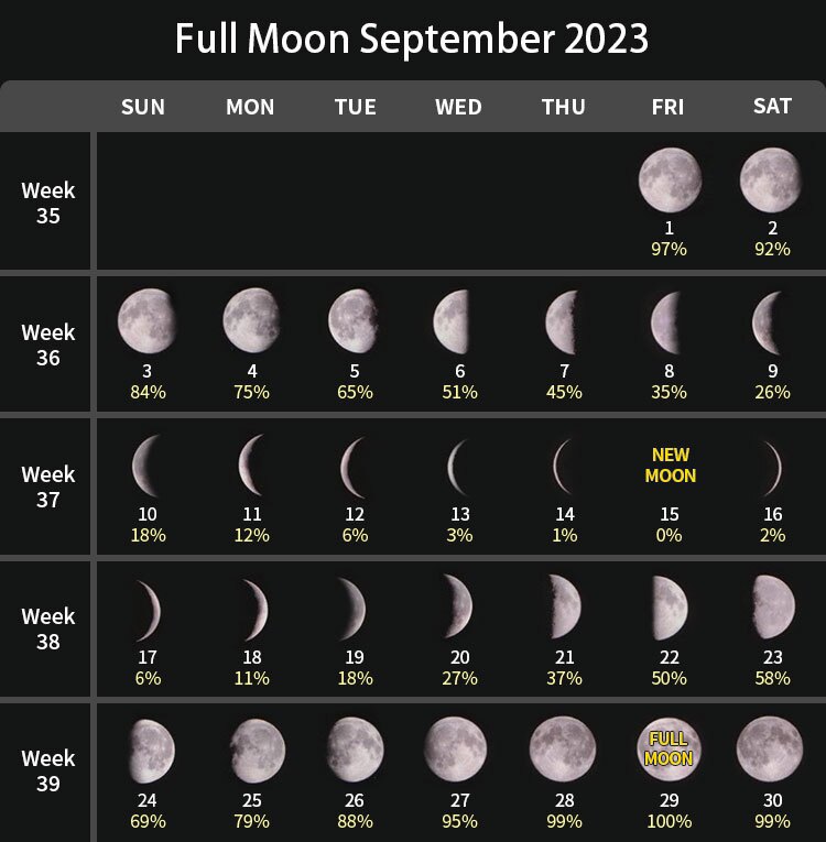 Moon Calendar 2023: Moon Phase, Dates, Times, Star Signs